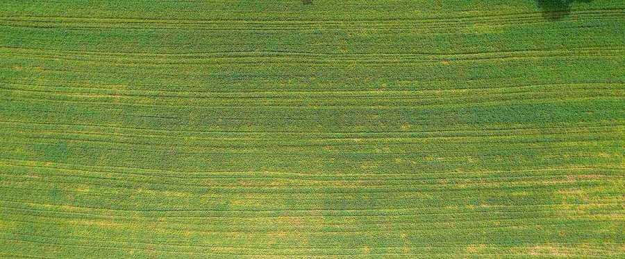 Aerial view of vacant land